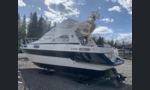 Sealine 310 Statesman-kuva-5